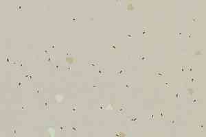 Линолеум Forbo Sphera Energetic 51211 vivid stone фото  | FLOORDEALER